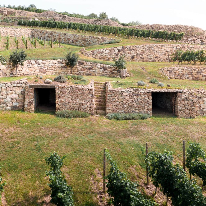 Birsalmás vineyard
