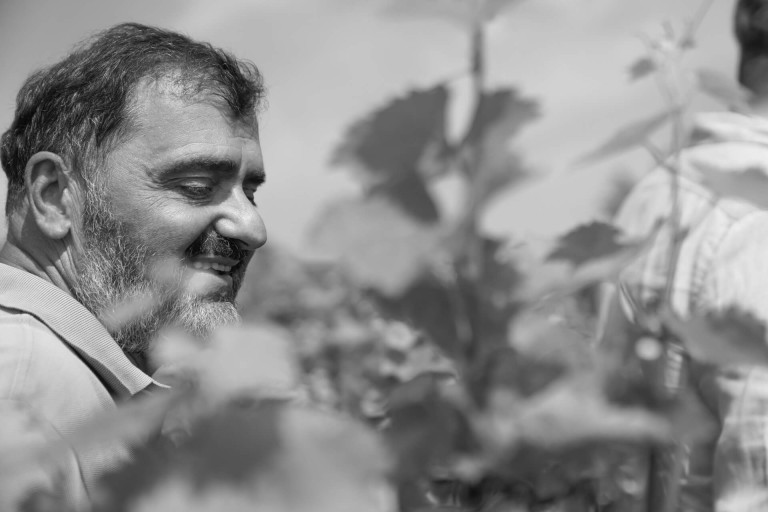 2009. Csatlakozik hozzánk Stefano Chioccioli. A toszkán Tua Rita és Livio Felluga friuli fehérborainak mestere a villányi Sauska-stílus meghatározó alakítója lesz.