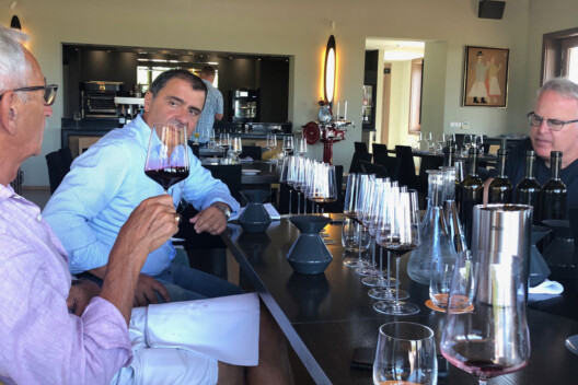 Merlot a topon